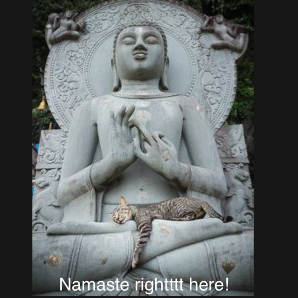 Lokah Samastah Sukhino Bhavantu